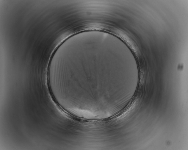 X0000102340802200808291136