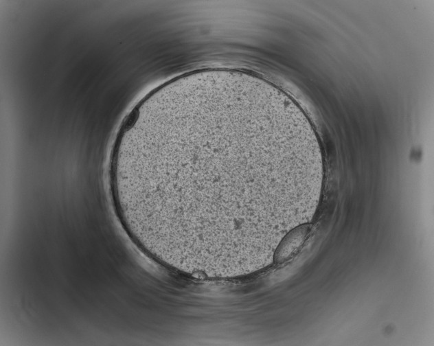 X0000102340803200808291136