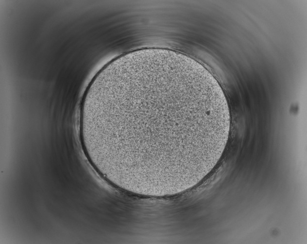 X0000102340804200808291136