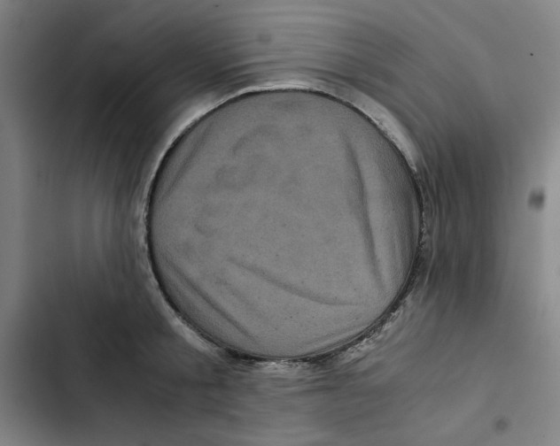 X0000102340805200808291136