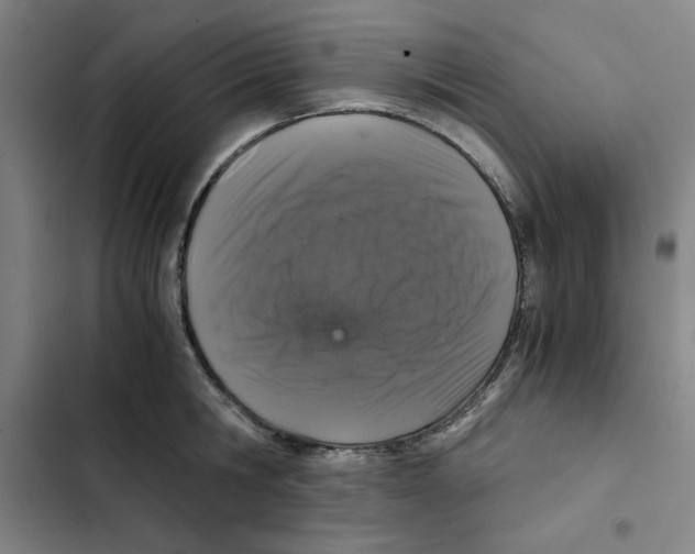 X0000102340806200808291136