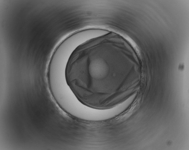 X0000102340807200808291136