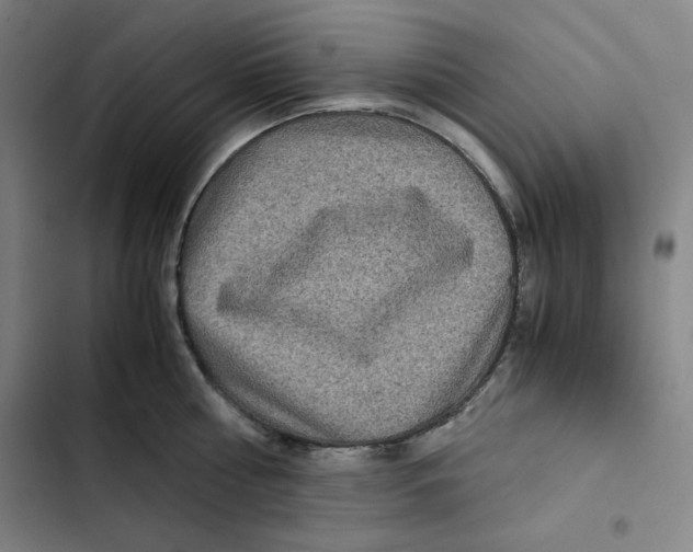 X0000102340810200808291136