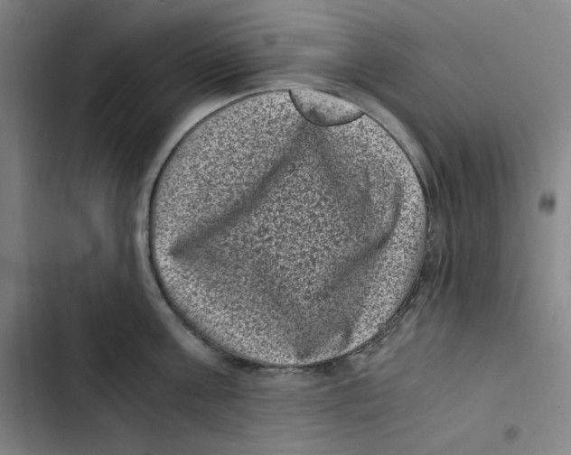 X0000102340811200808291136