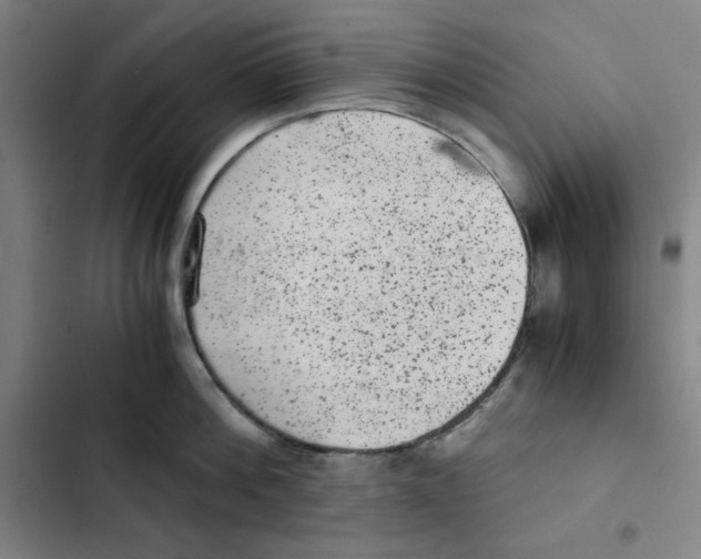 X0000102340812200808291136