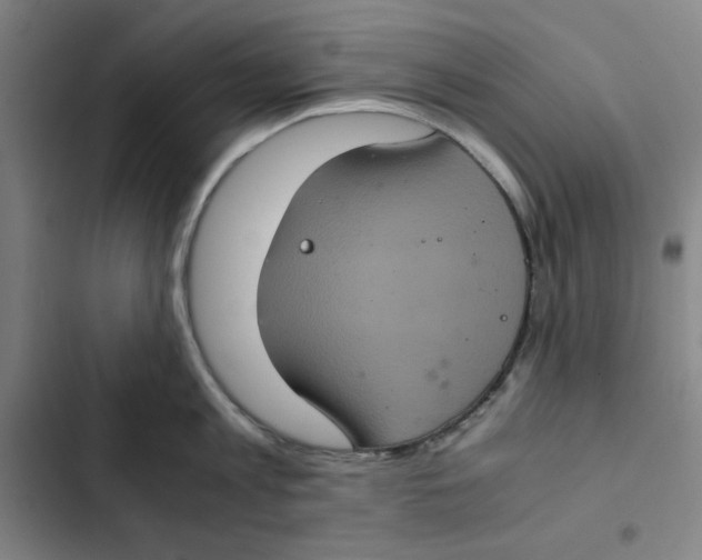 X0000102340813200808291136