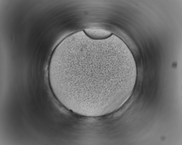 X0000102340814200808291136