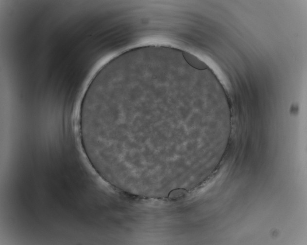 X0000102340815200808291136