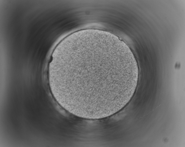 X0000102340816200808291136