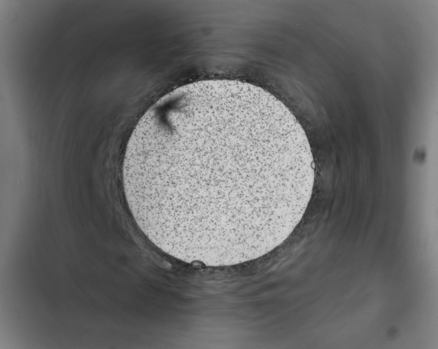X0000102340817200808291135