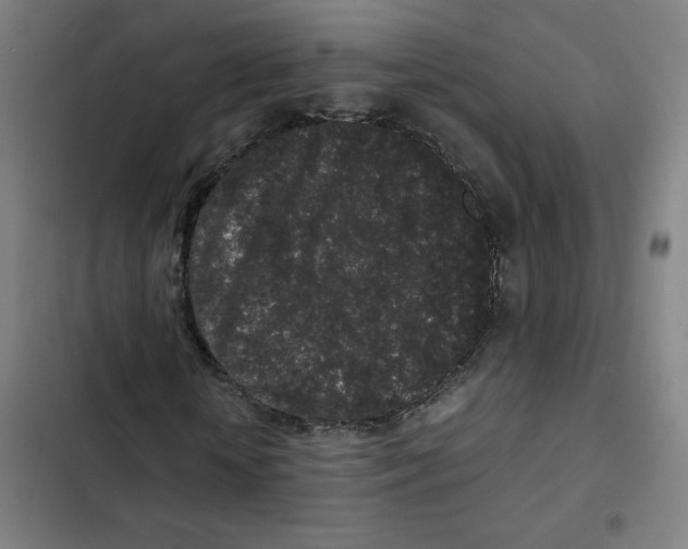 X0000102340818200808291135