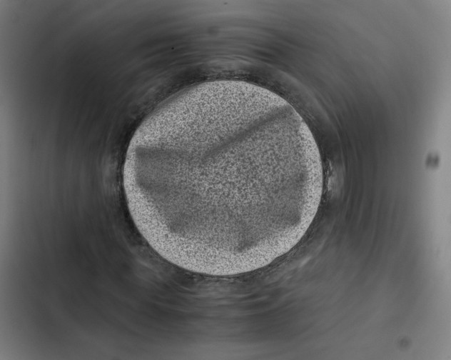 X0000102340819200808291135