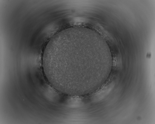 X0000102340820200808291135