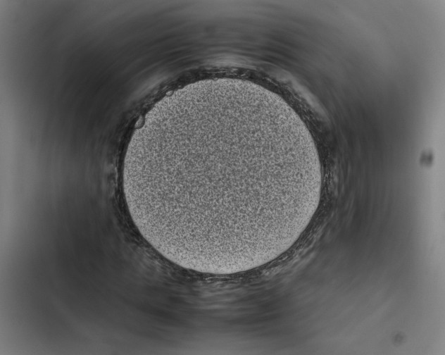 X0000102340821200808291135