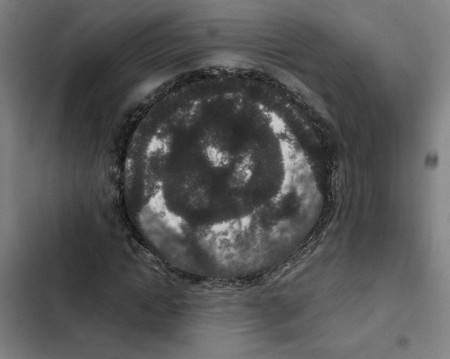 X0000102340822200808291135