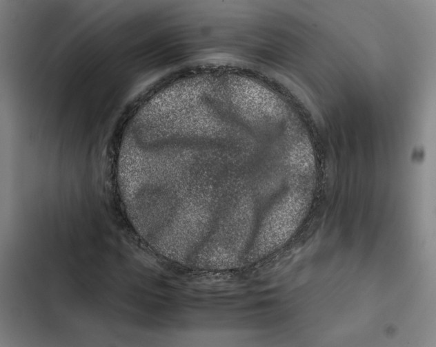 X0000102340823200808291135