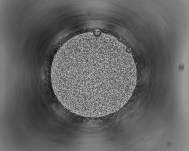 X0000102340824200808291135