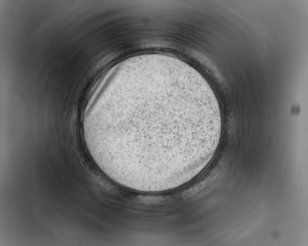 X0000102340825200808291135