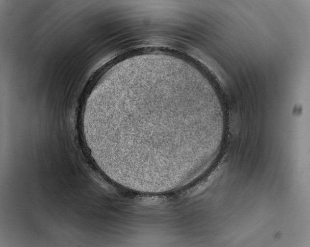 X0000102340826200808291135