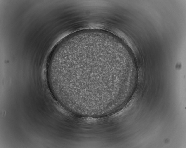 X0000102340827200808291135
