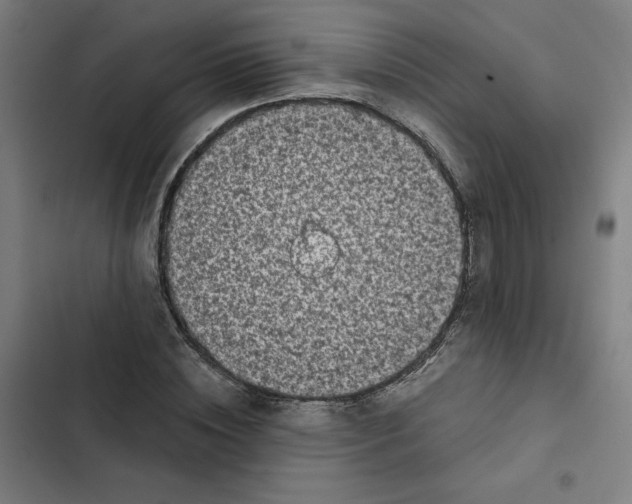 X0000102340828200808291135