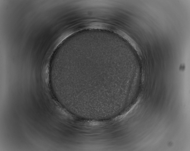 X0000102340829200808291135