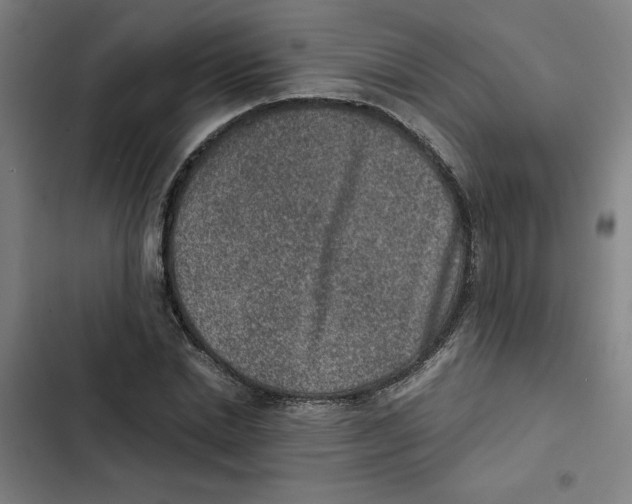 X0000102340830200808291135