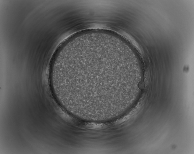X0000102340831200808291135