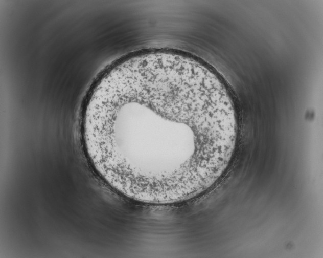 X0000102340832200808291135