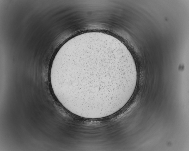 X0000102340833200808291135
