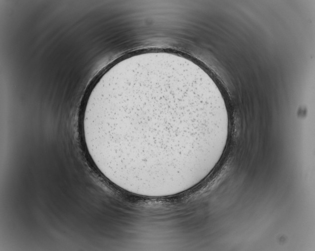 X0000102340834200808291135