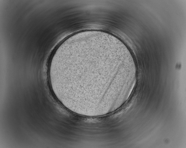 X0000102340835200808291135