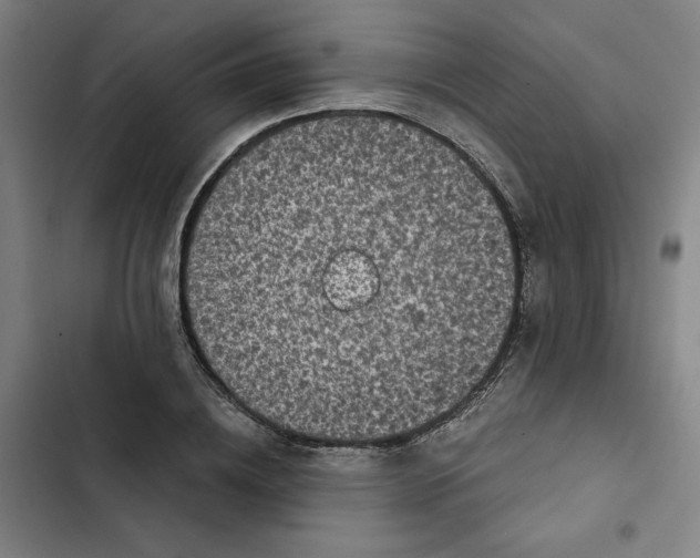 X0000102340836200808291135