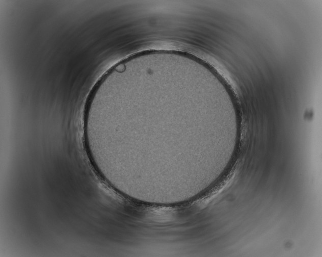 X0000102340837200808291135