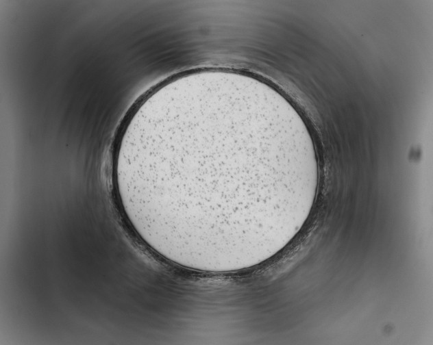 X0000102340838200808291135