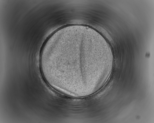 X0000102340839200808291135