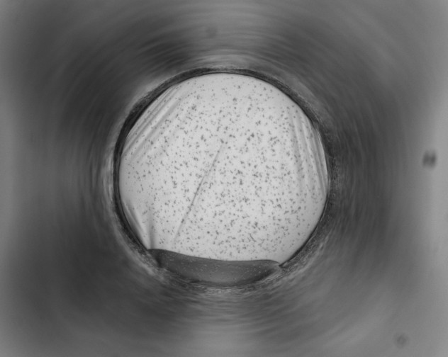 X0000102340840200808291135