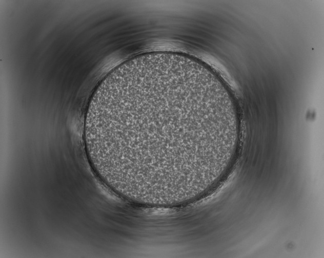 X0000102340841200808291135