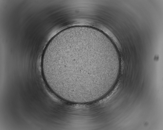 X0000102340842200808291135