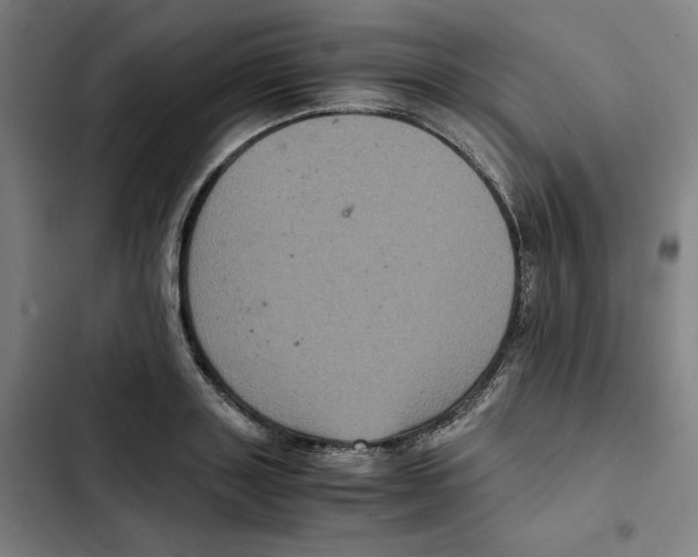 X0000102340843200808291135
