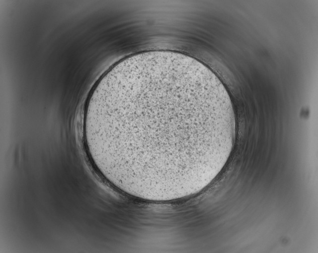 X0000102340844200808291135