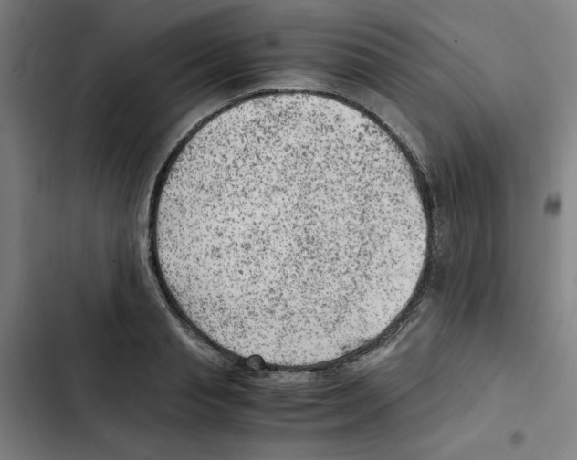 X0000102340845200808291135