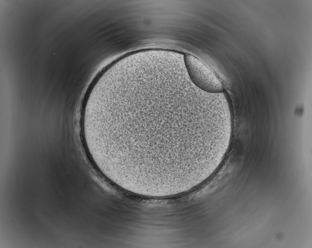 X0000102340846200808291135