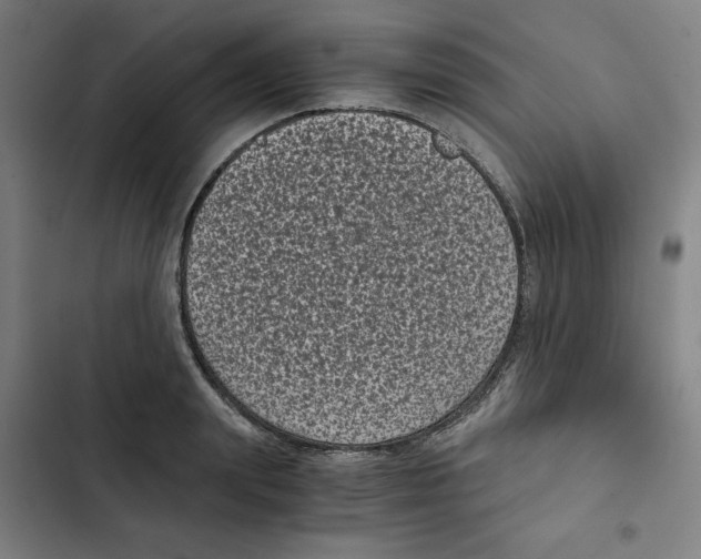 X0000102340847200808291135