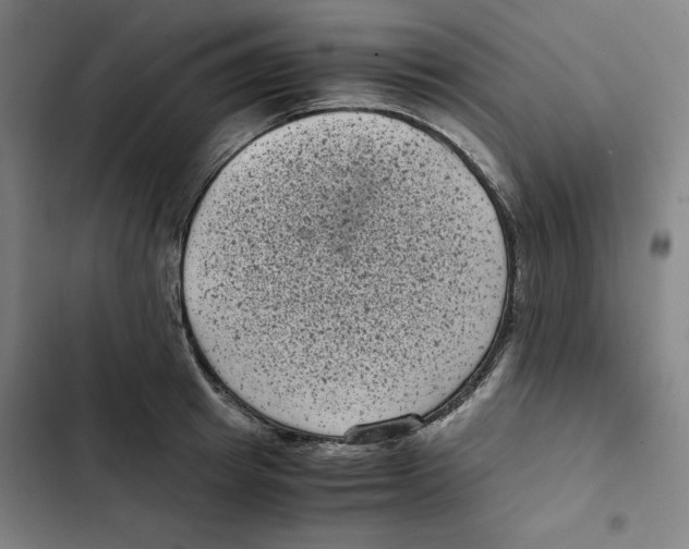 X0000102340849200808291136