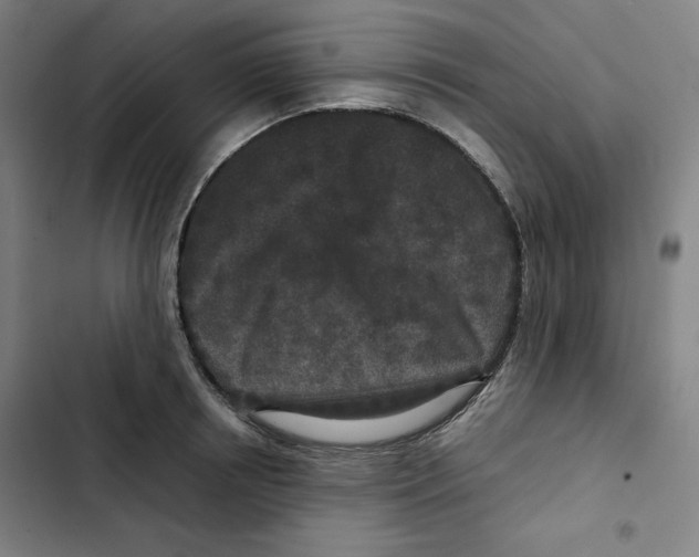 X0000102340850200808291136