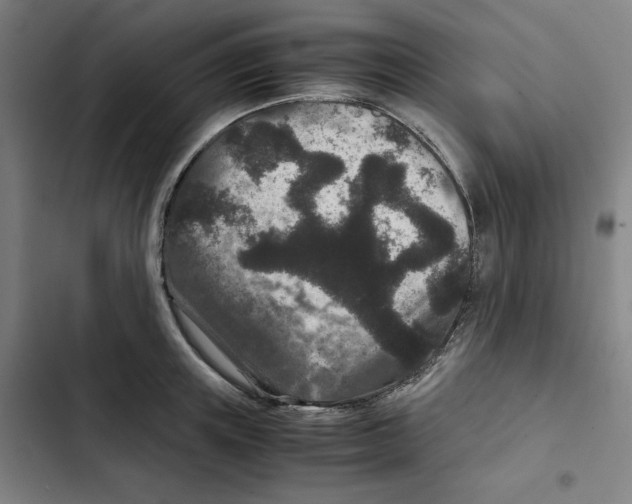 X0000102340851200808291136
