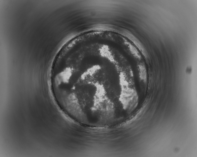 X0000102340853200808291136