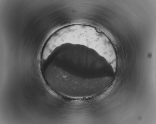X0000102340854200808291136