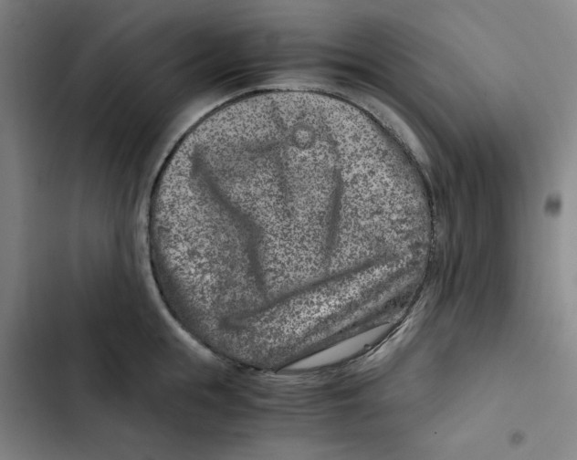 X0000102340855200808291136
